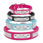 Personalized Yorkie Collar - Image 8