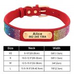 Personalized Yorkie Collar - Image 4