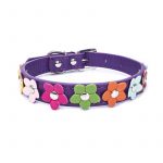 Flowers Yorkshire Terrier Collar - Image 21