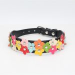 Flowers Yorkshire Terrier Collar - Image 8