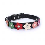 Flowers Yorkshire Terrier Collar - Image 20
