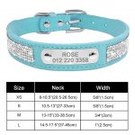 Personalized Yorkie Collar - Image 14