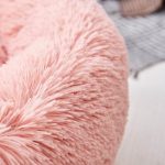 Yorkie Soft Bed - Image 13