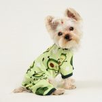 yorkie-costume-pajamas