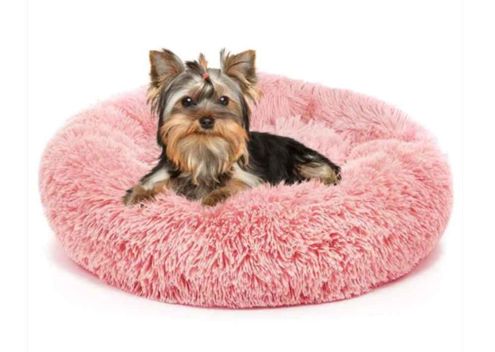 yorkie-soft-bed yorkie-soft-bed