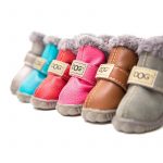 Winter Yorkie Shoes - Image 2