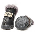 Winter Yorkie Shoes - Image 4