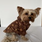 double-sided-yorkie-designer-jacket