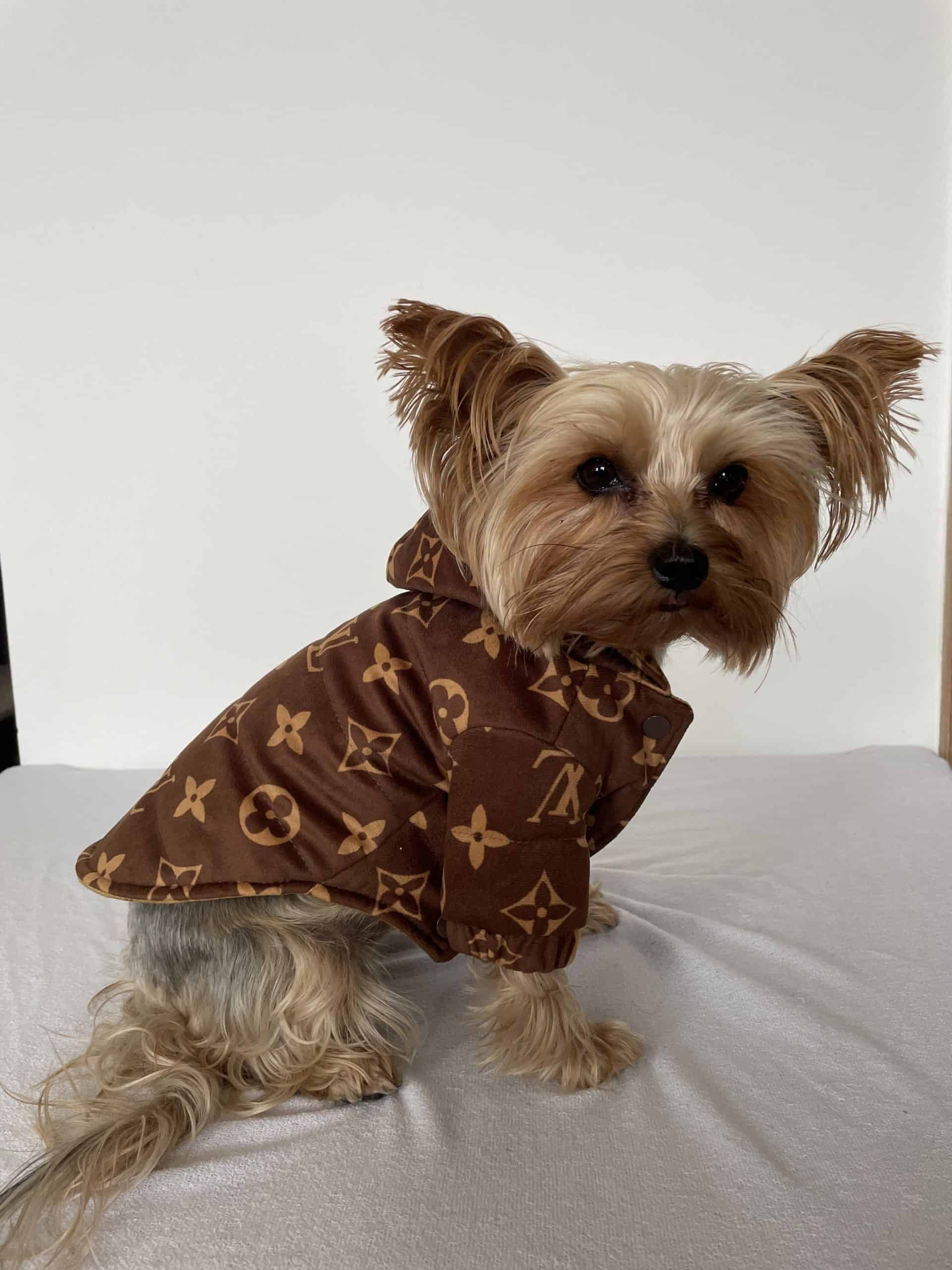 double-sided-yorkie-designer-jacket double-sided-yorkie-designer-jacket