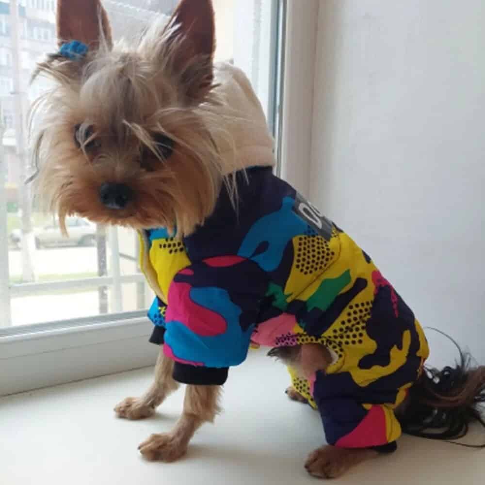 Winter Camouflage Yorkie Cotton Jacket. .jpg Winter Camouflage Yorkie Cotton Jacket.