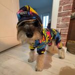 Camouflage Yorkie Jumpsuit - Image 2