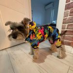 Camouflage Yorkie Jumpsuit - Image 3