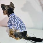 Yorkie Furdi Sweater - Image 2