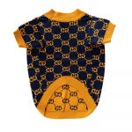 designer yorkie gg sweater
