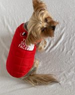 The Dog Face Yorkie Vest Jacket - Image 2
