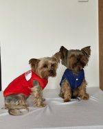 The Dog Face Yorkie Vest Jacket