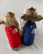 The Dog Face Yorkie Vest Jacket - Image 3