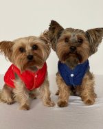 The Dog Face Yorkie Vest Jacket - Image 4