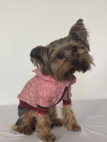 Pink GG Yorkie Jacket - Image 2