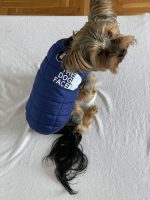 The Dog Face Yorkie Vest Jacket - Image 5