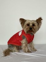 The Dog Face Yorkie Vest Jacket - Image 14