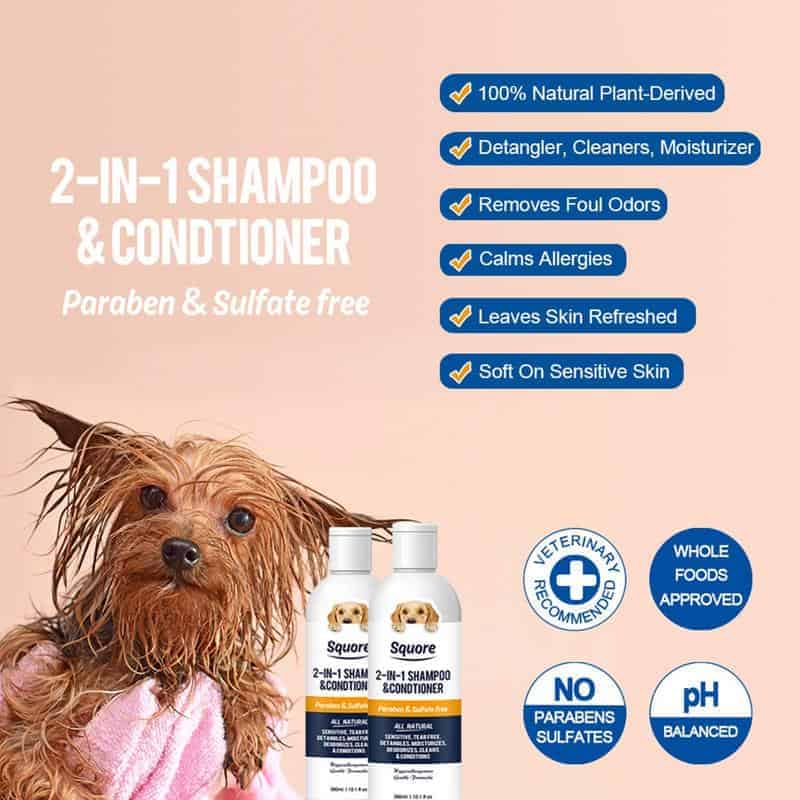 yorkie shampoo