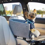 padded-yorkie-car-seat yorkie accessories