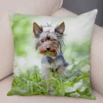 Mini Yorkie Cushion Cover - Image 16