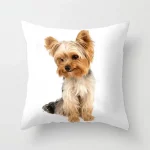 Yorkie Decor Pillow Case - Image 14