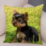 Mini Yorkie Cushion Cover - Image 24
