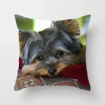 Yorkie Decor Pillow Case - Image 19