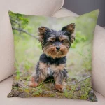 Mini Yorkie Cushion Cover - Image 11