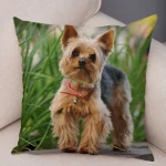 Mini Yorkie Cushion Cover - Image 18