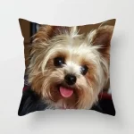Yorkie Decor Pillow Case - Image 4
