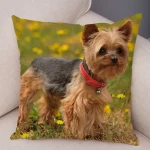 Mini Yorkie Cushion Cover - Image 19