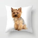 Yorkie Decor Pillow Case - Image 2
