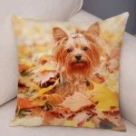 Mini Yorkie Cushion Cover - Image 28