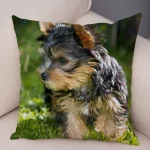 Mini Yorkie Cushion Cover - Image 22