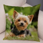 Mini Yorkie Cushion Cover - Image 8