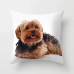 Yorkie Decor Pillow Case - Image 13