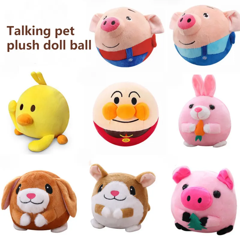S07347ef5970147c181f0970026aedad9D.webp yorkie toy