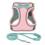 summertime yorkie harness