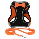 summertime yorkie harness