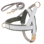 No-Pull Yorkie Harness & Collar - Image 10