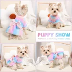 Rainbow Winter Yorkie Dress - Image 3