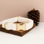 Teddy Dream Yorkie Collar - Image 18
