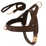 No-Pull Yorkie Harness & Collar - Image 5