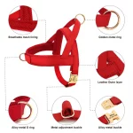 No-Pull Yorkie Harness & Collar - Image 2