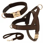 No-Pull Yorkie Harness & Collar - Image 9
