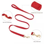 No-Pull Yorkie Harness & Collar - Image 3